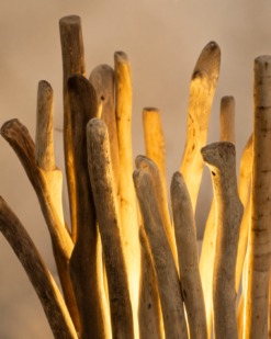 Détail lumineux des branches de la petite lampe en bois flotté