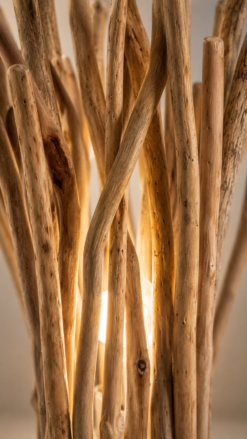 Détail lumineux des branches d’une lampe de table en bois flotté
