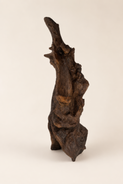 Sculpture en bois flotté L’Âme du Cap vue de dos