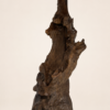 Sculpture en bois flotté L’Âme du Cap vue de face