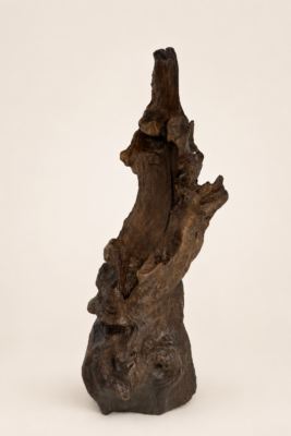 Sculpture en bois flotté L’Âme du Cap vue de face